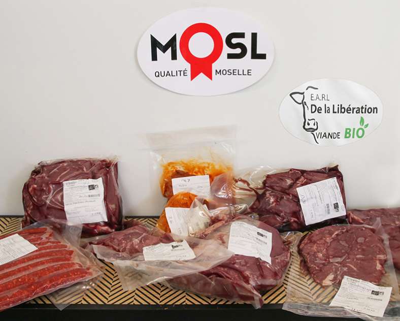 Lid Sirkis Earl de la libération