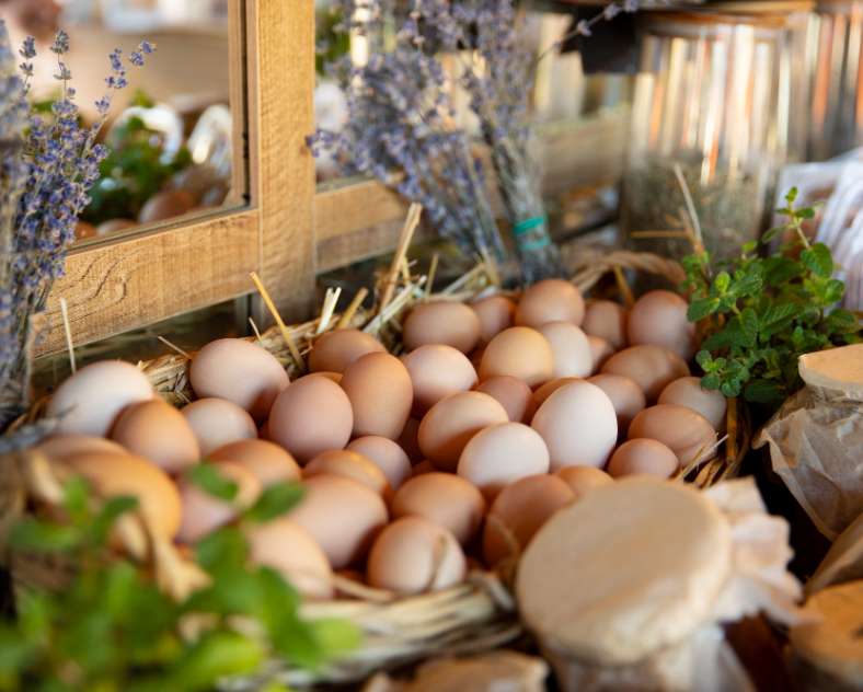 Image de freepik  La boutique des fermiers - Der Bauernshop