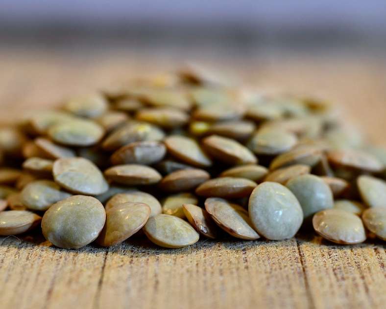 Image par ArturGórecki de Pixabay  Earl le champ de la mère