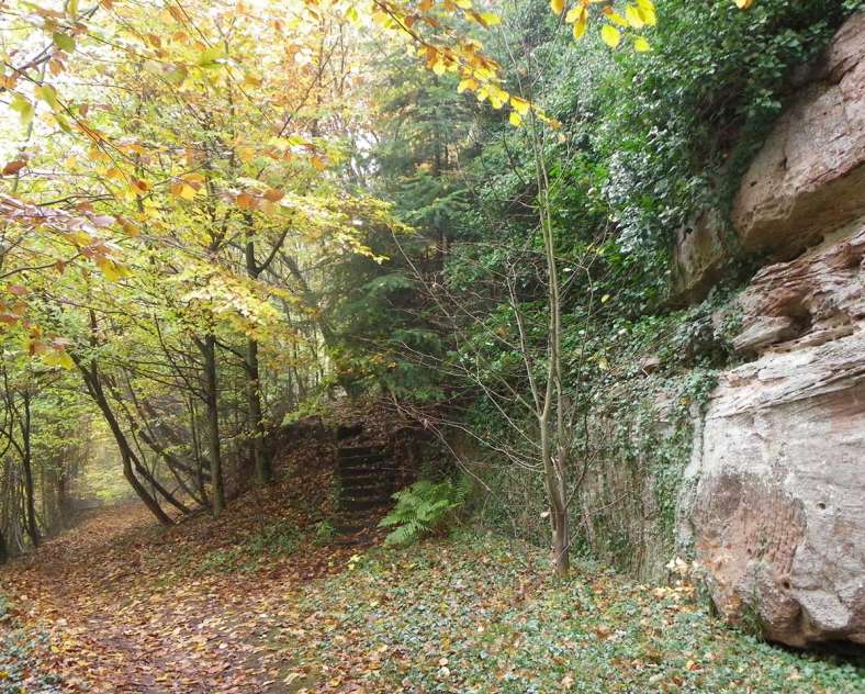 Céline Chall - OTIPB Burg Grand Arnsbourg