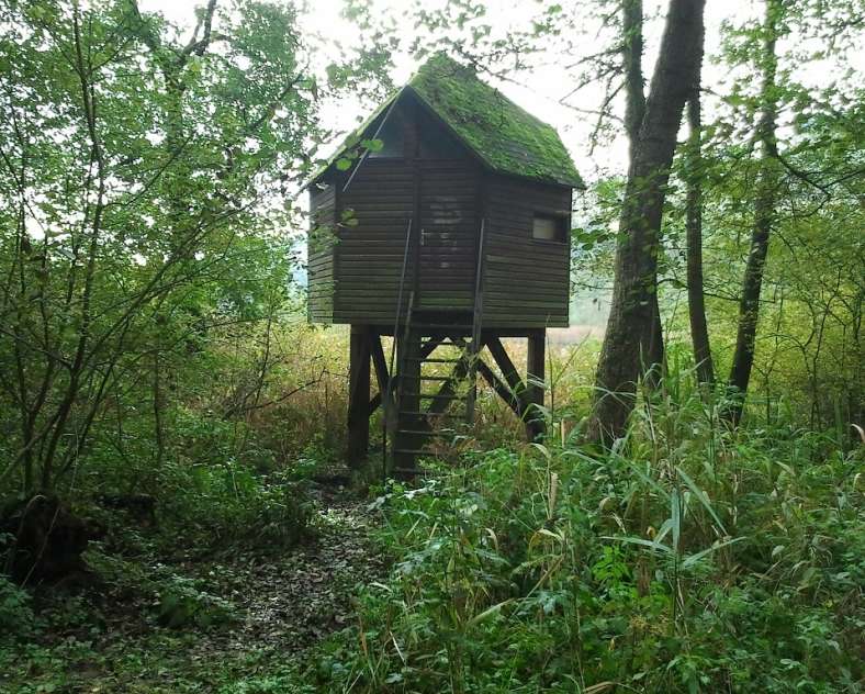 Office de tourisme du Pays de Bitche  Observatoire des oiseaux