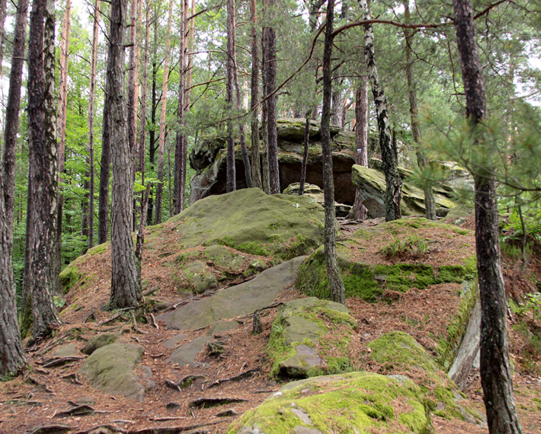 DER L'ALTSCHLOSSFELSEN