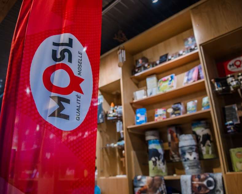 Communauté de Communes du Pays de Bitche. Der Laden der Mühle von Eschviller