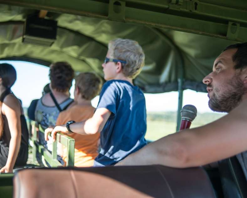 SAFARI AUF DER BISONWEIDE