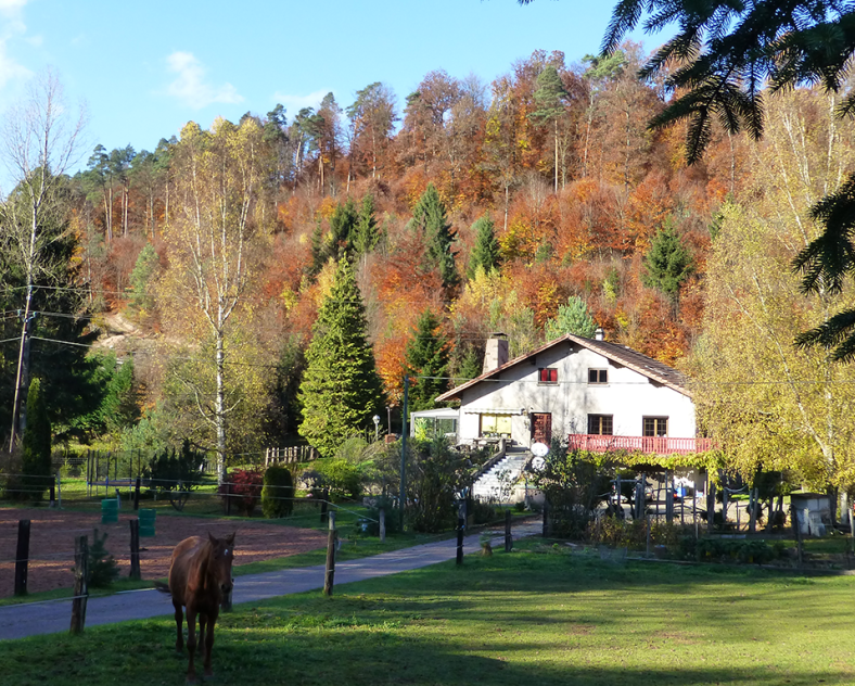 Tania Seiler  Domaine l'échappée verte