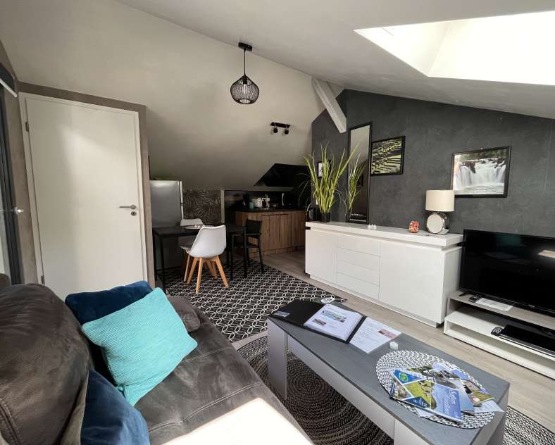 Frédéric Steiner  Suite verte vallée