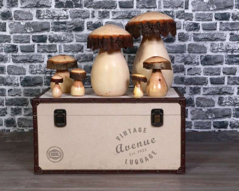 Ombres et lumieres  Die Faser des Holzes - Fabien Rumpler