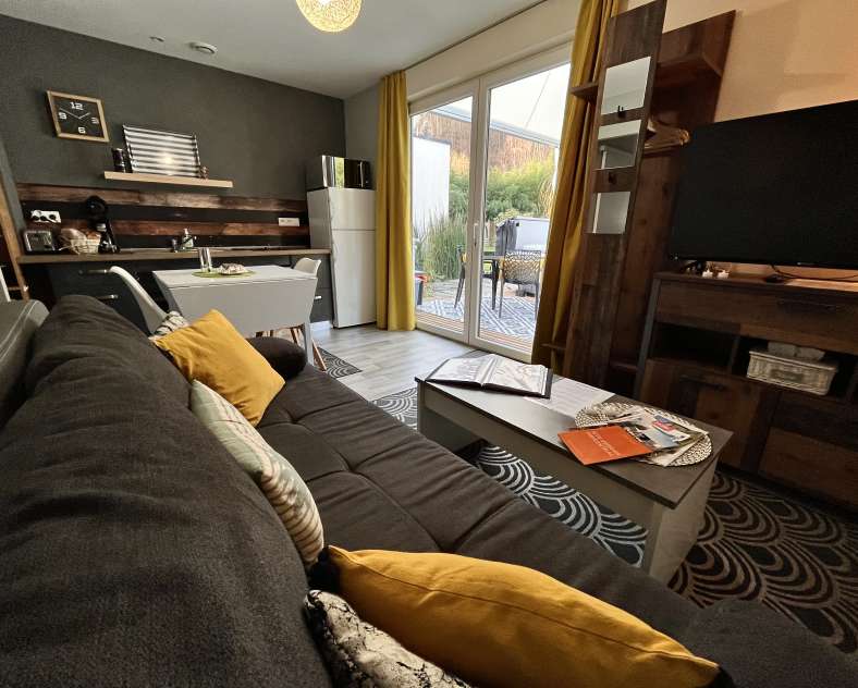 Steiner Frédéric Lodge silex