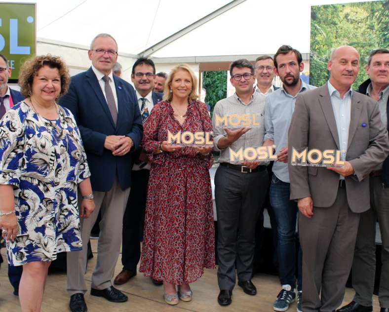 Mont Royal  Mont royal ophtalmique