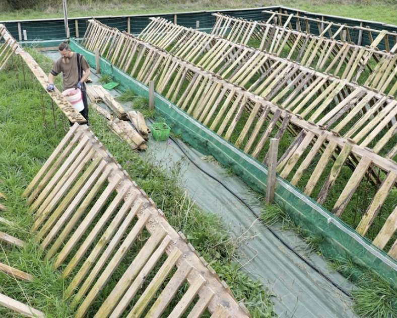 FERME HÉLICICOLE - L'ESCARGOT DU PAYS DE BITCHE