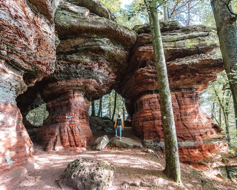 Lezbroz  Sentier d'excellence 6 - circuit du rocher de l'Altschlossfelsen