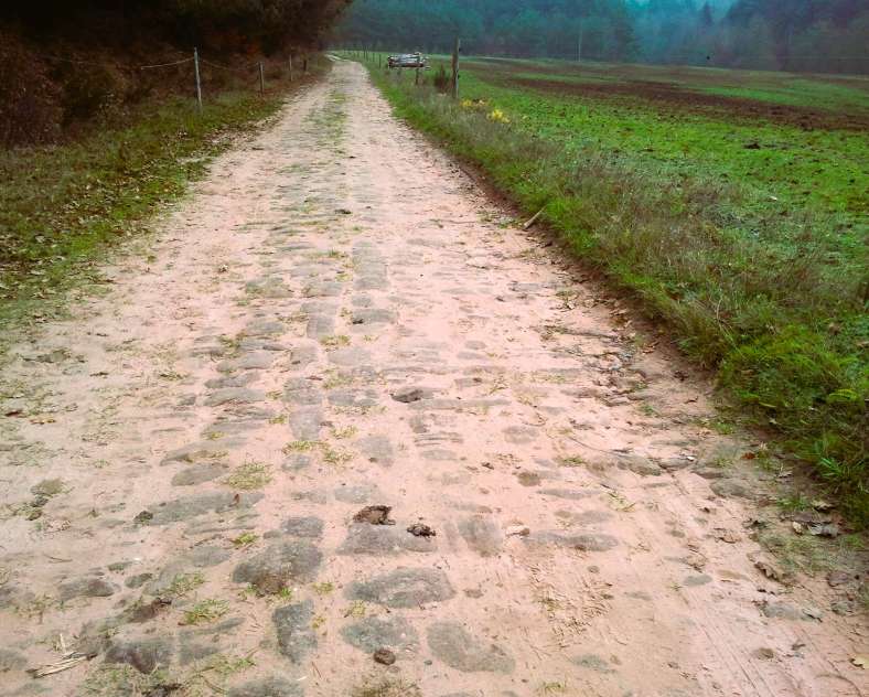 C.Romang - OTIPB  Sentier d'excellence 6 - circuit du rocher de l'Altschlossfelsen