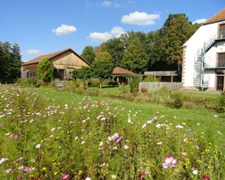 OTIPB Sentier d'excellence 8 - moulin d'eschviller et chapelle Saint-Joseph