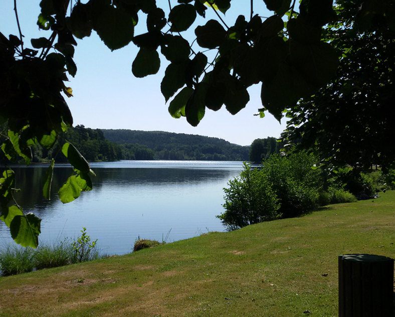 OTIPB  Sentier d'excellence 10 - arbres remarquables de Haspelschiedt