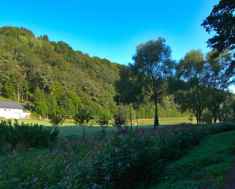 Vallée de la Horn entre Hanviller et Bousseviller  La vallée de la horn