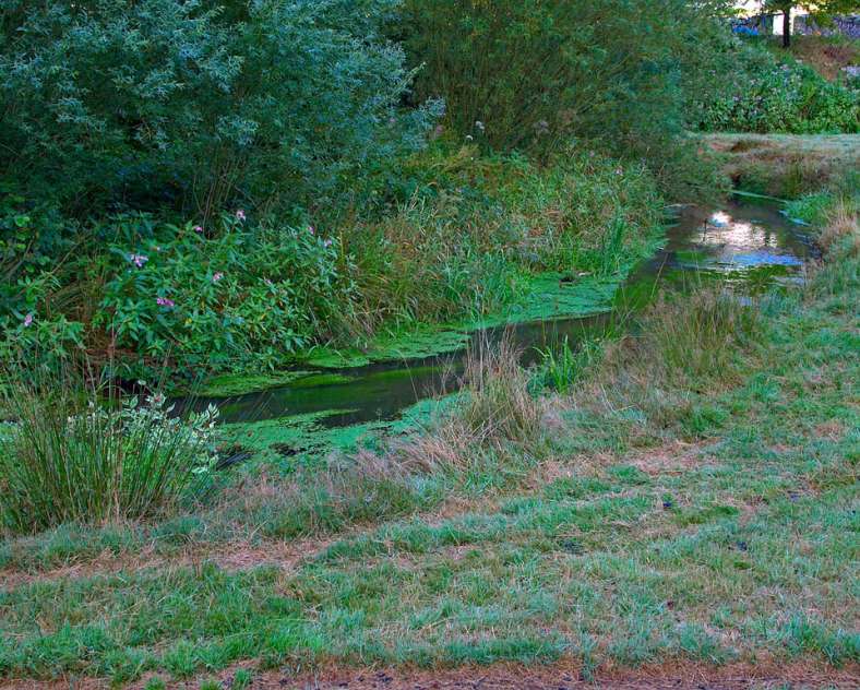 La Horn entre Hanviller et Bousseviller  La vallée de la horn