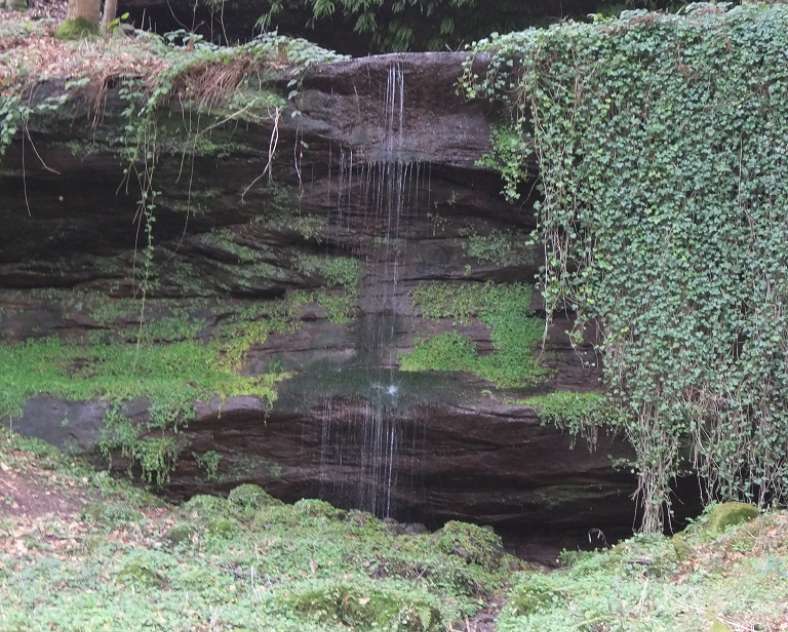 Club Vosgien Soucht  Parcours marche nordique bleu