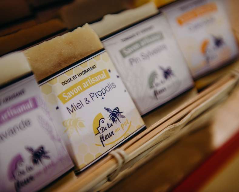 CCPB  De la fleur au pot