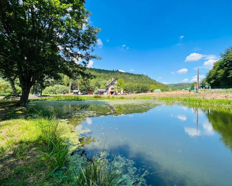 Domaine du Trèfle d'or  Le domaine du trèfle d'or