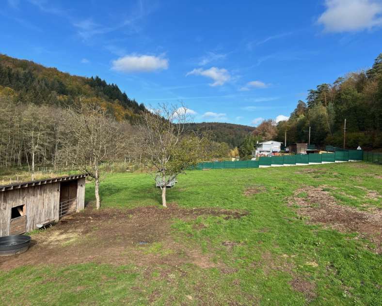 Domaine du Trèfle d'or  Le domaine du trèfle d'or