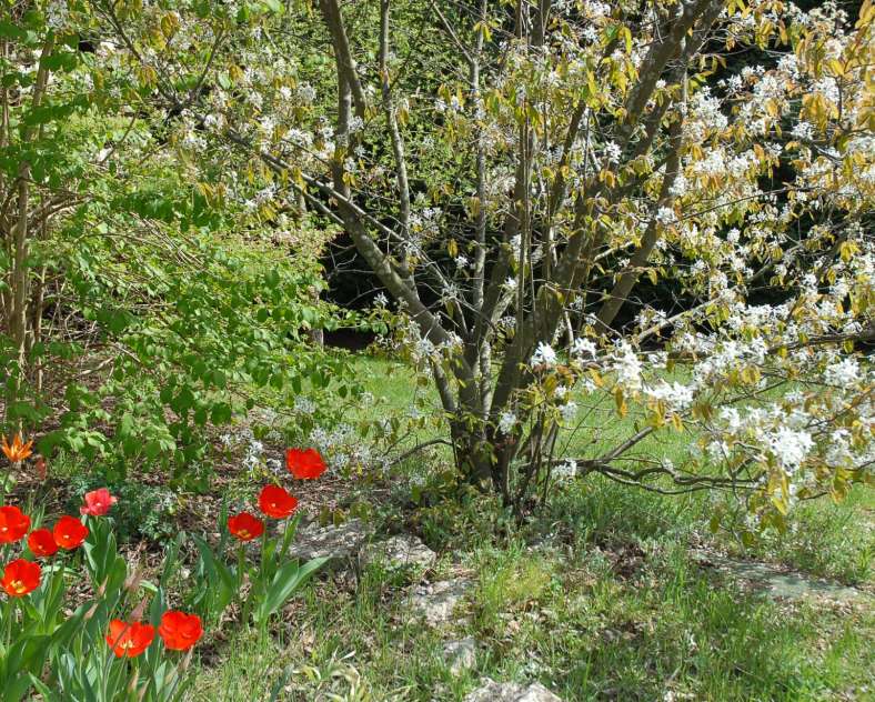 Robert Riwer  Chambres d'hôte Villa Thalassa