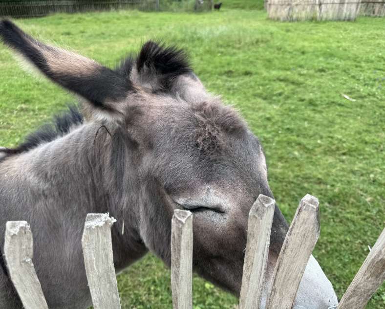 E. Stauder - OTIPB Meublé la belle vallée