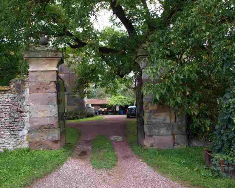 Thierry Conrard Brasserie l'Arsenal