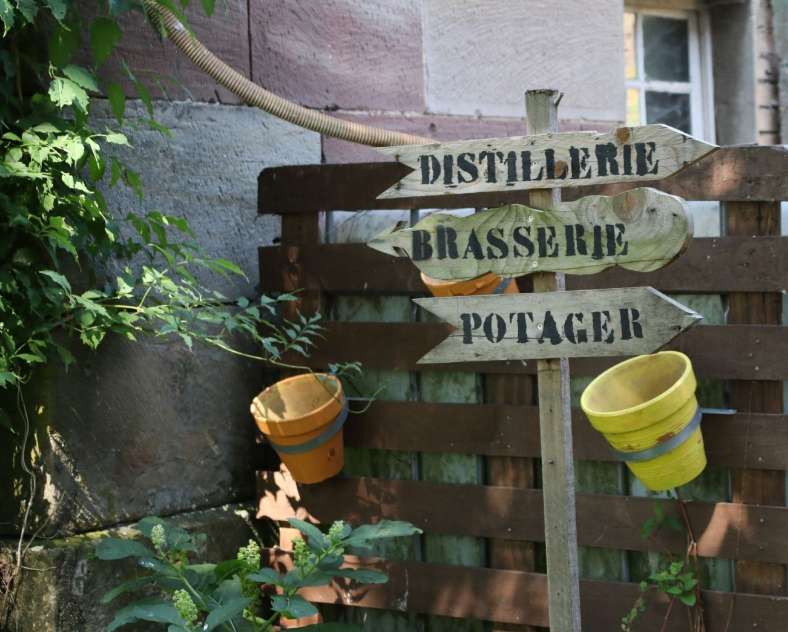 Lid Sirkis Brasserie l'Arsenal