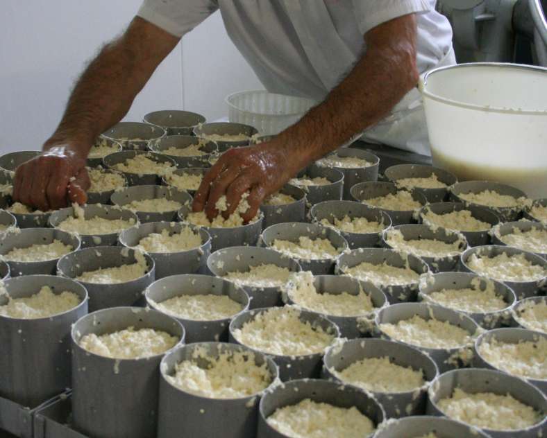 fromagerie de vergaville  Fromagerie de l'Abbaye de Vergaville
