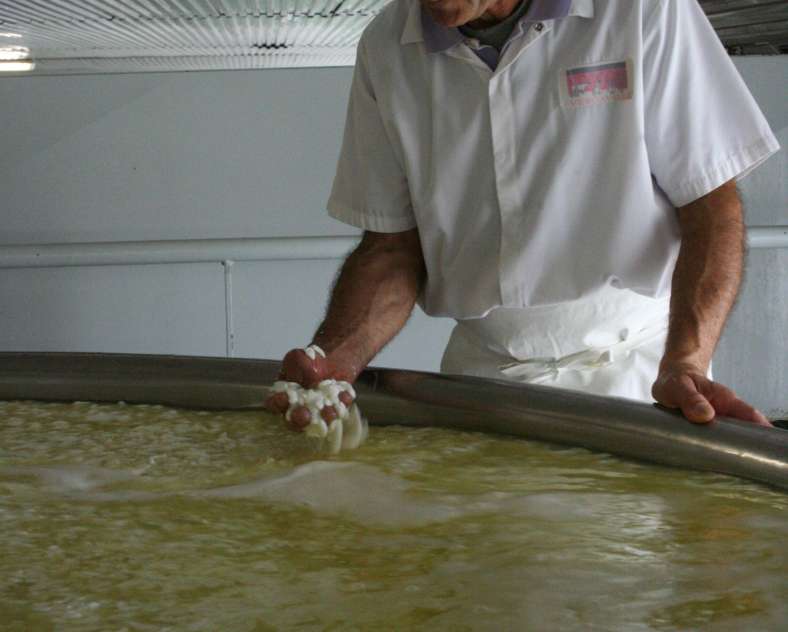 FROMAGERIE DE L'ABBAYE DE VERGAVILLE