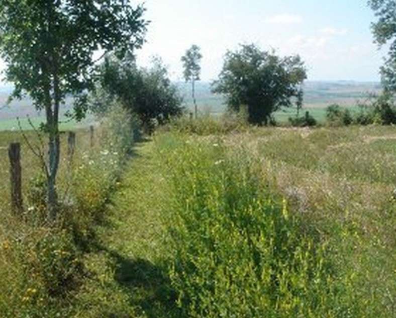 ccs  Sentier des Hauts de Saint-Jean