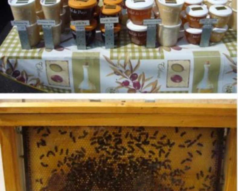 Médiathèque du val de seille Apiculteur Michel Hocquel