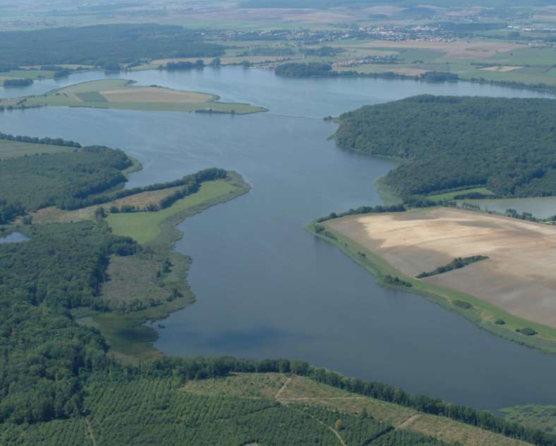 domaine de lindre Stage - Dans l'intimité des oiseaux
