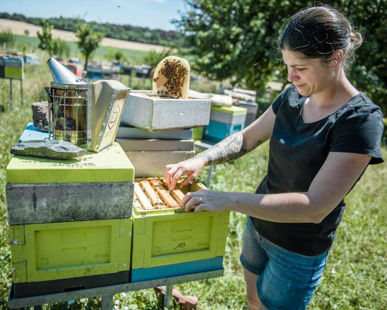 Wendy_PFAUWADEL Les ruchers de Wendy