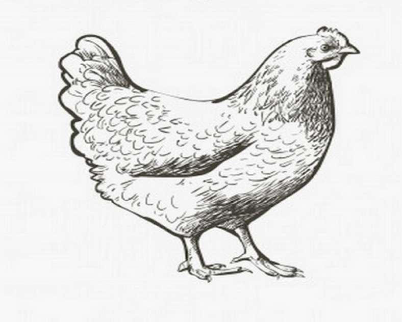 freepik Earl Girard NRJ