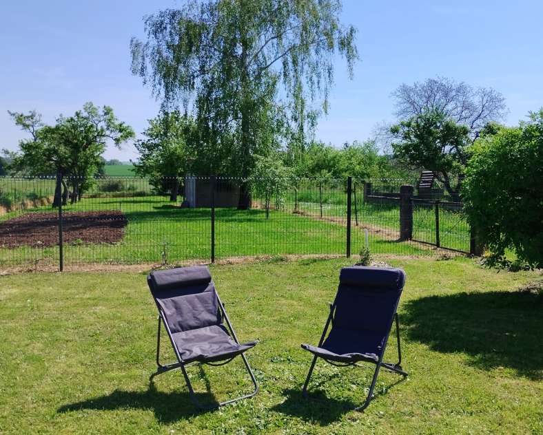 L-Roth Le grain de sel