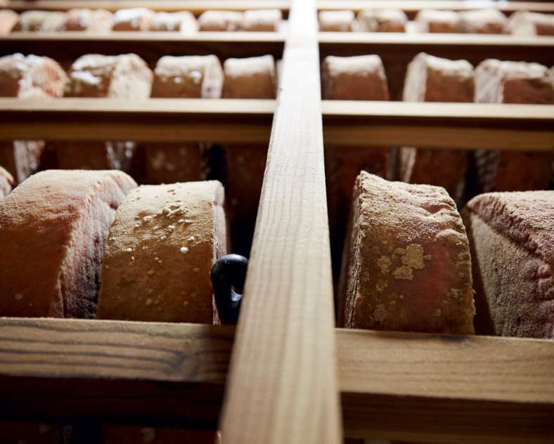 fromagerie de vergaville  Fromagerie de l'Abbaye de Vergaville