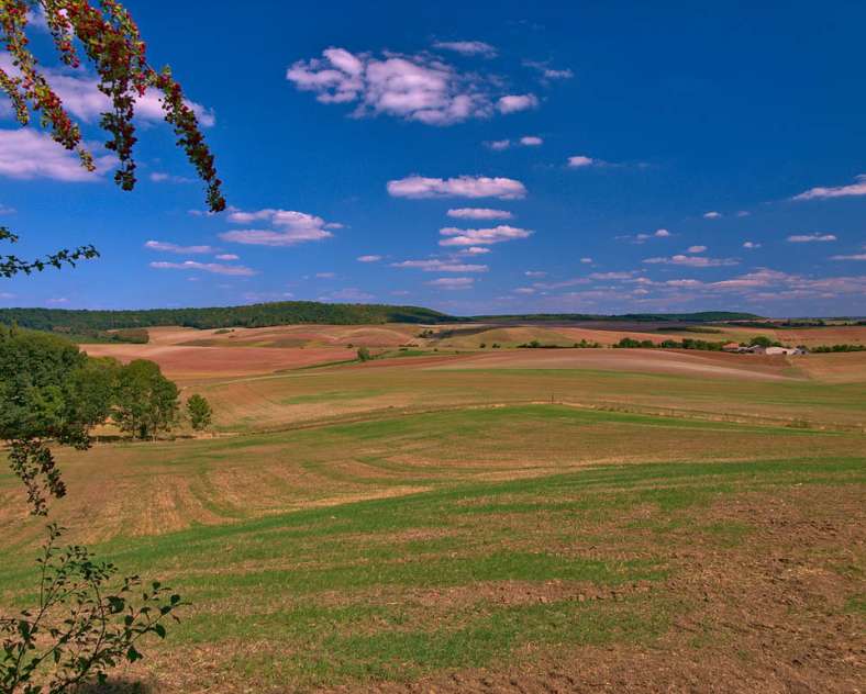 Emmanuel Stourm 2020
Licence Open Data Salzfahrradtour