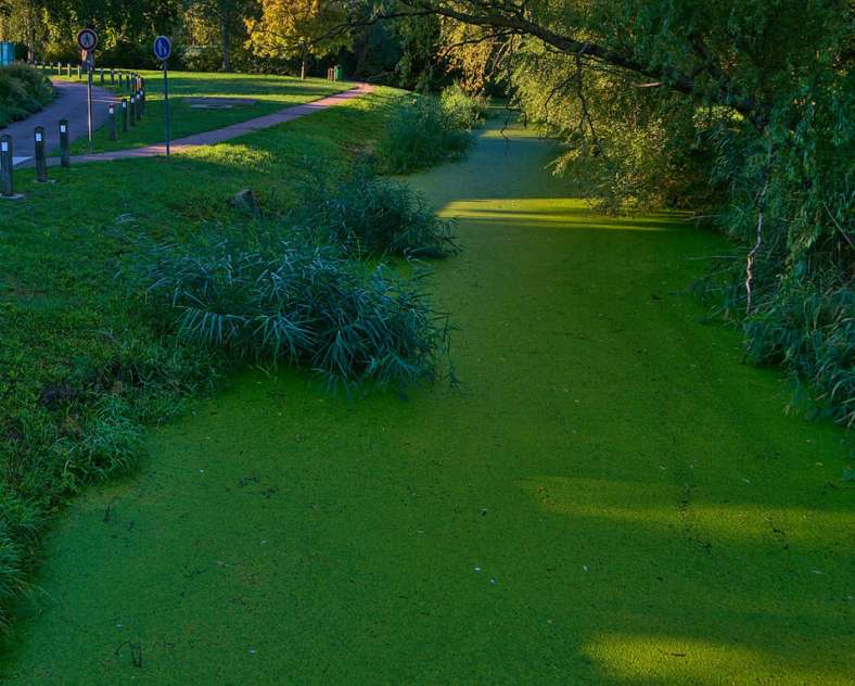 Emmanuel Stourm 2020
Licence Open Data Lindre-Radweg