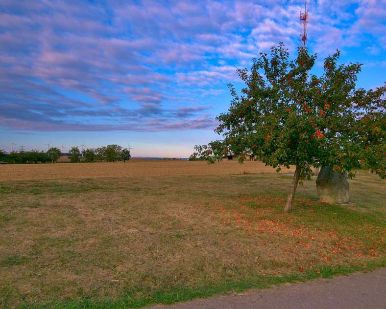 Emmanuel Stourm 2020
Licence Open Data  Zwischen Nied und Warndt