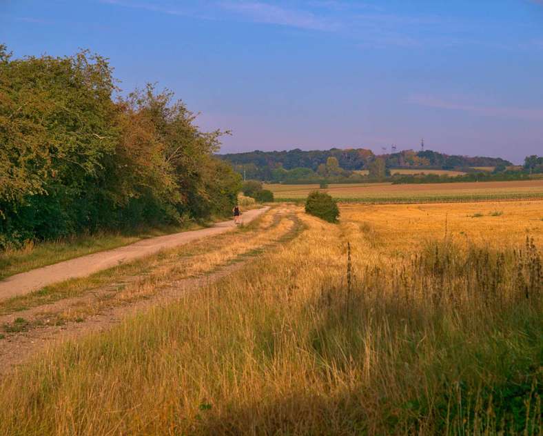 Emmanuel Stourm 2020
Licence Open Data  Grüner Weg des Landes von Pange
