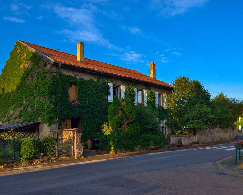 Emmanuel Stourm 2020
Licence Open Data Gartenrundgang