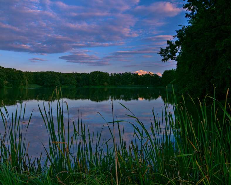 Emmanuel Stourm 2020
Licence Open Data Fahrradtour durch die Teiche - Rhodes - Lindre - Kanal
