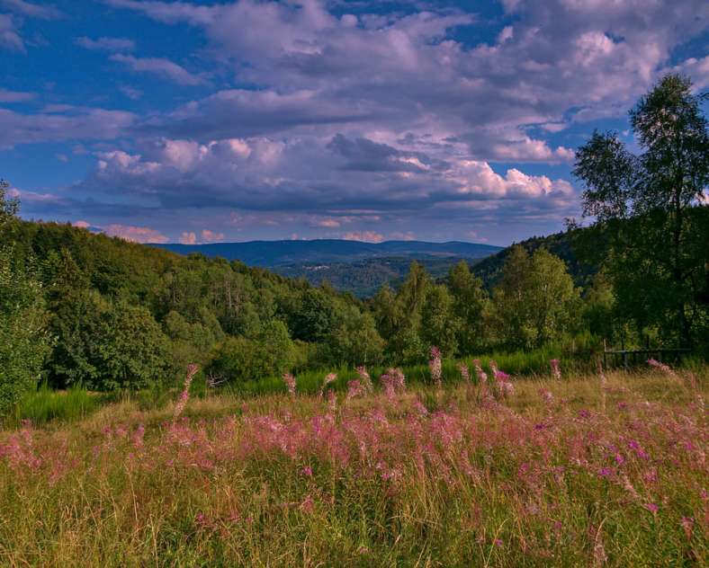 Emmanuel Stourm 2020
Licence Open Data Fahrradtour Donon
