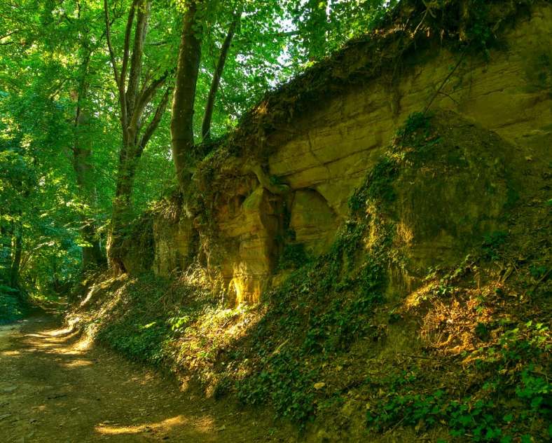 Emmanuel Stourm 2020
Licence Open Data Die Quelle Karls des Großen