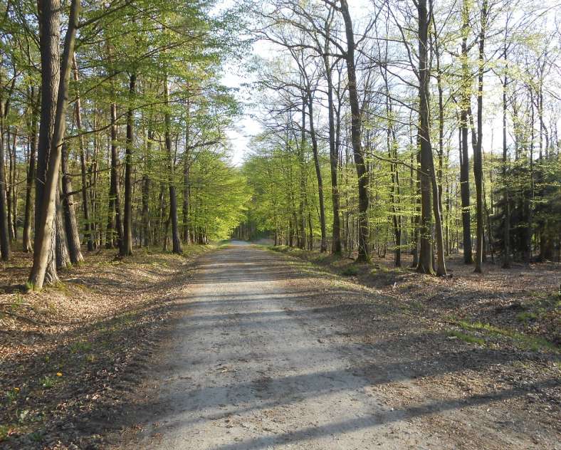 OT Saint-Avold Coeur de Moselle  Entdeckungsreise Oderfang