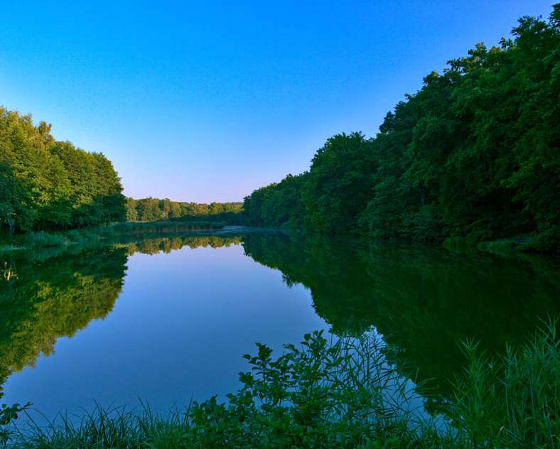 Emmanuel Stourm 2020
Licence Open Data  Oderfang - Porcelette - Creutzwald