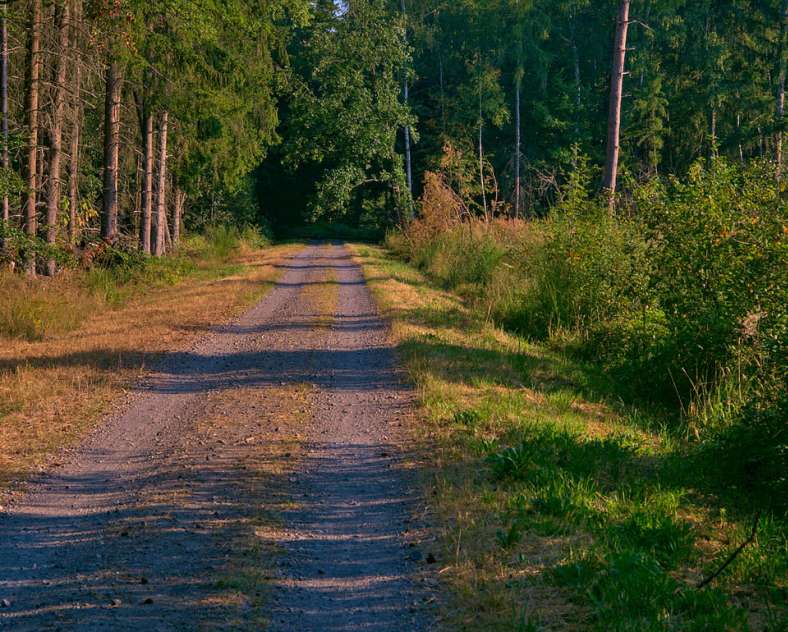 Emmanuel Stourm 2020
Licence Open Data  Oderfang - Porcelette - Creutzwald