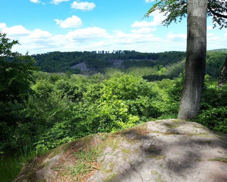 OT Saint-Avold Coeur de Moselle Steinberg-Rundweg