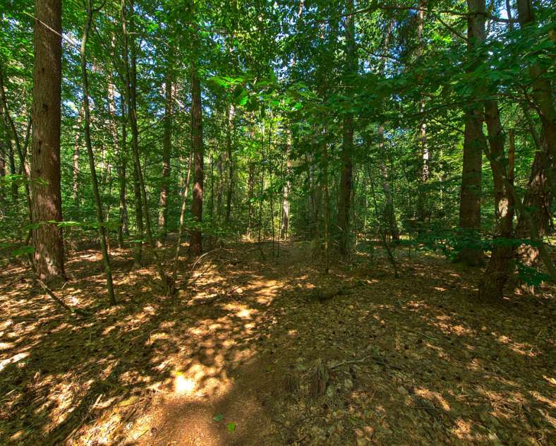 Emmanuel Stourm 2020
Licence Open Data Steinberg - Jeanne d'Arc